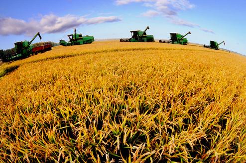 一号文件连续12年聚焦三农 加大惠农政策力度