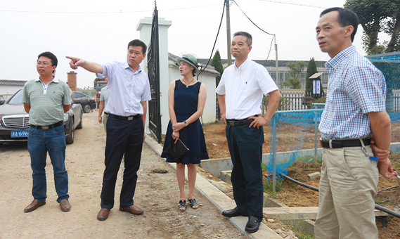 8月28日，衢江区委书记吴江平调研莲花镇现代农业园区